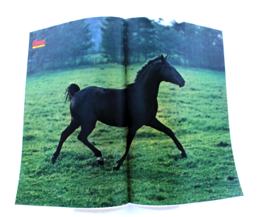 Conny Comic Nr. 161 – Überfall am Rio Negro (1983) | hoppla-stuff.de